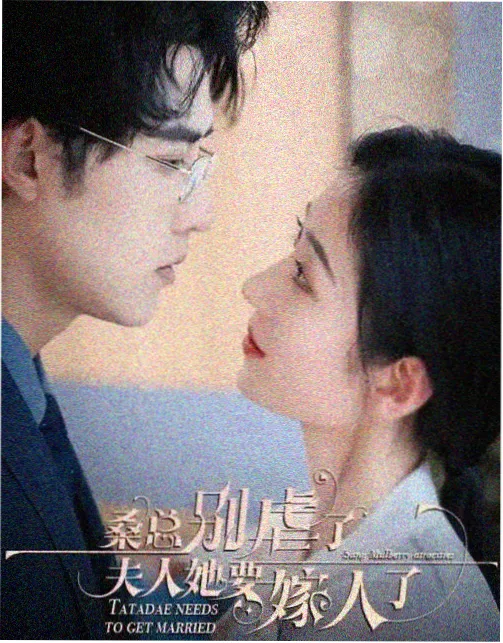 红果果电视剧年代生活剧巷口的烟火封面